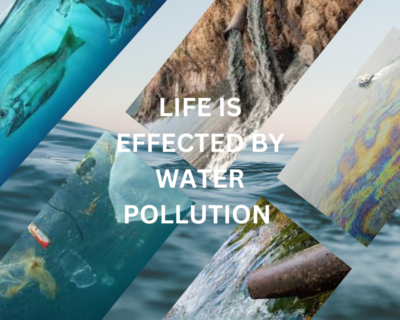 Water Pollution Solutions: Effective Strategies for Cleaner Waterways