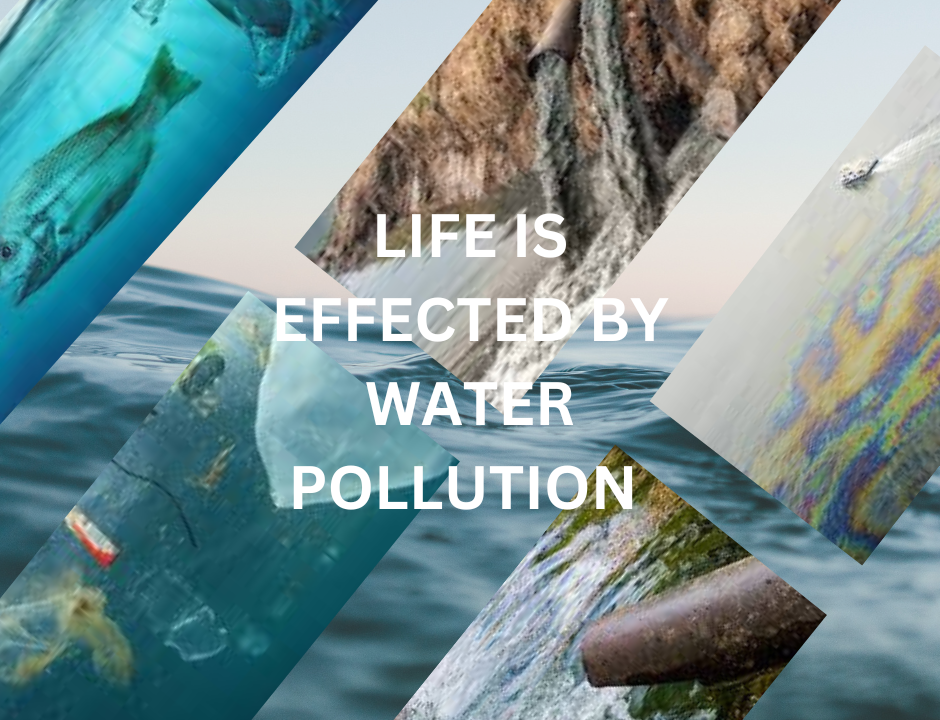 Water Pollution Solutions: Effective Strategies for Cleaner Waterways